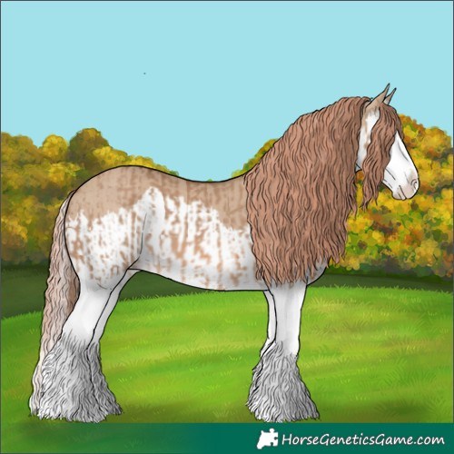 Horse Color:Red Dun Splash  and Red Dun Splash 