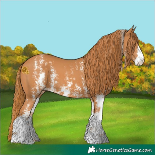 Horse Color:Chestnut Sabino 
