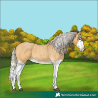 Horse Color:Silver Buckskin Roan Splash 