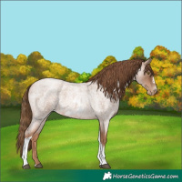 Horse Color:Liver Red Roan Pearl Tobiano Frame 
