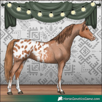 Horse Color:Chestnut Sabino Blanket 