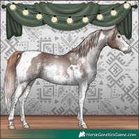 Horse Color:Gray Chestnut Sabino Tobiano