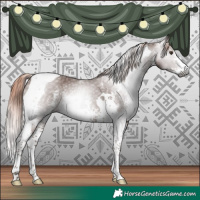 Horse Color:Gray Chestnut Sabino Tobiano