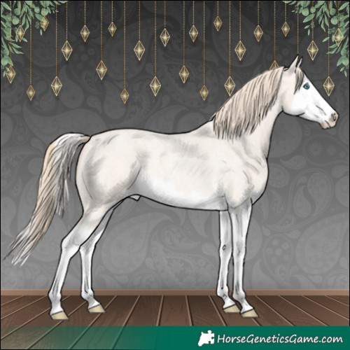 Horse Color:Perlino Roan Splash 
