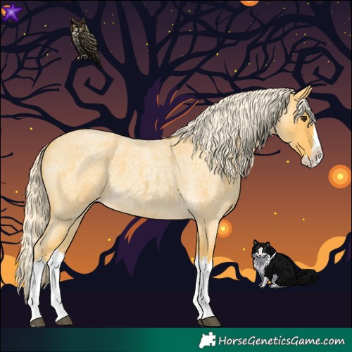 Horse Color:Palomino Roan Splash 