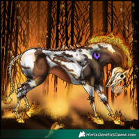 Horse Color:Bay Tobiano 