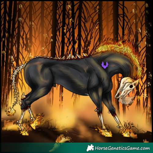 Horse Color:Black Tobiano 