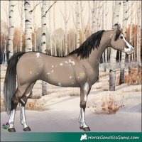 Horse Color:White Spotted Liver Red Dun Splash 