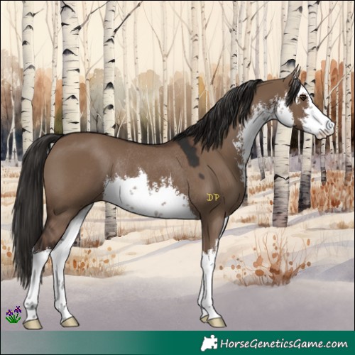 Horse Color:White Spotted Liver Red Dun Rabicano 