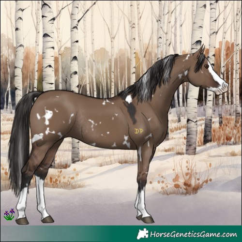 Horse Color:White Spotted Liver Red Dun Splash Rabicano 