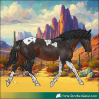 Horse Color:Brown Tobiano 