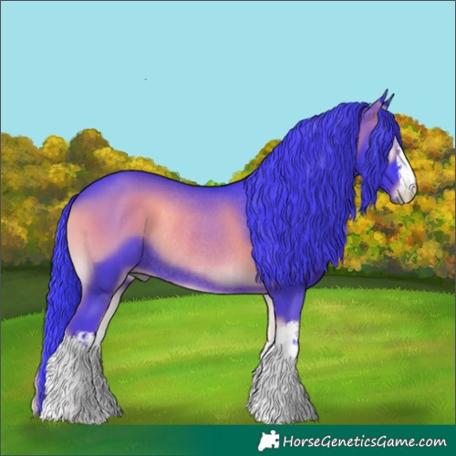 Horse Color:Watercolor White Spotted Blue Onyx Rabicano 