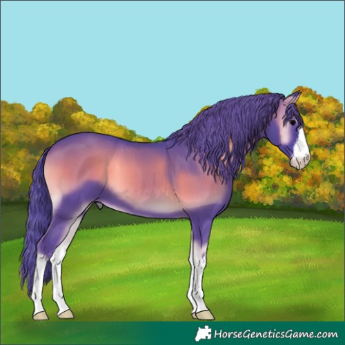 Horse Color:Watercolor White Spotted Blue Onyx 