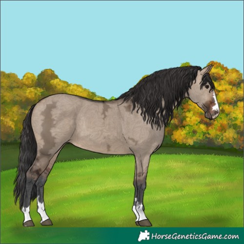 Horse Color:Brown Ice Dun 