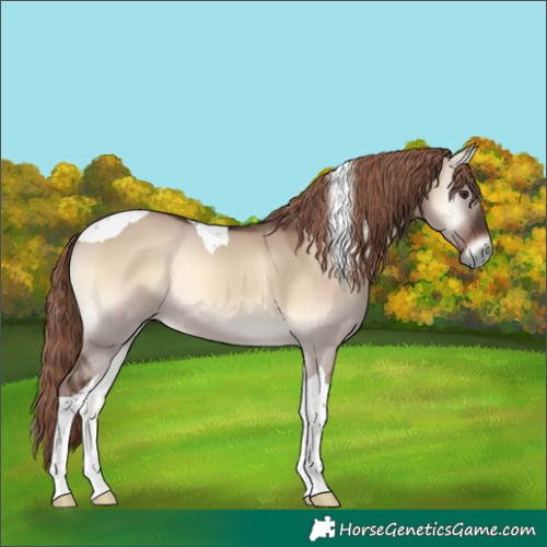 Horse Color:Liver Red Dun Onyx Tobiano 