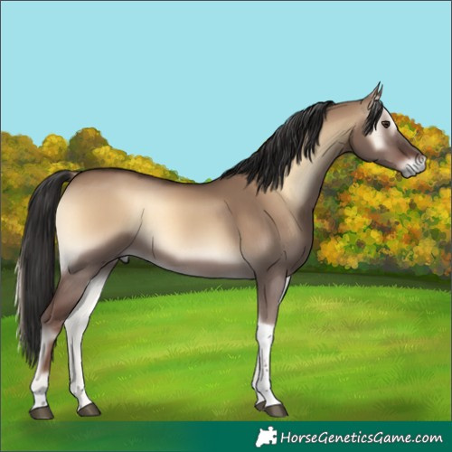 Horse Color:Liver Red Dun Onyx Tobiano 