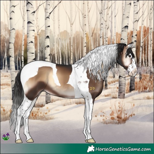 Horse Color:Liver Red Onyx Splash Tobiano 