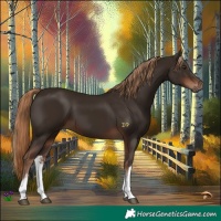 Horse Color:White Spotted Liver Chestnut 