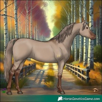 Horse Color:Liver Red Dun