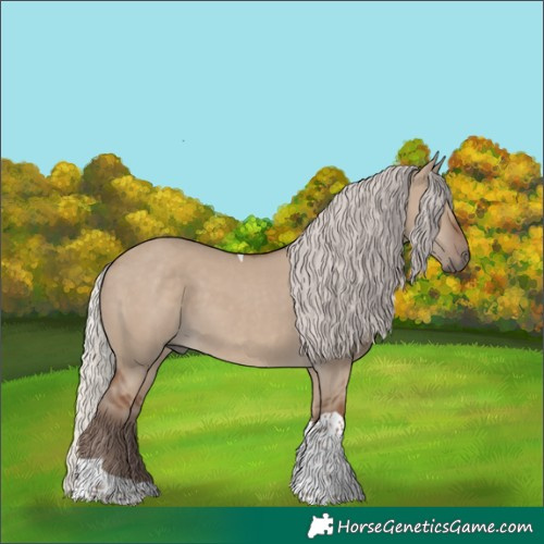Horse Color:Silver Grullo Tobiano Rabicano 