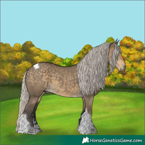Horse Color:Silver Smoky Grullo Sabino Tobiano Rabicano 