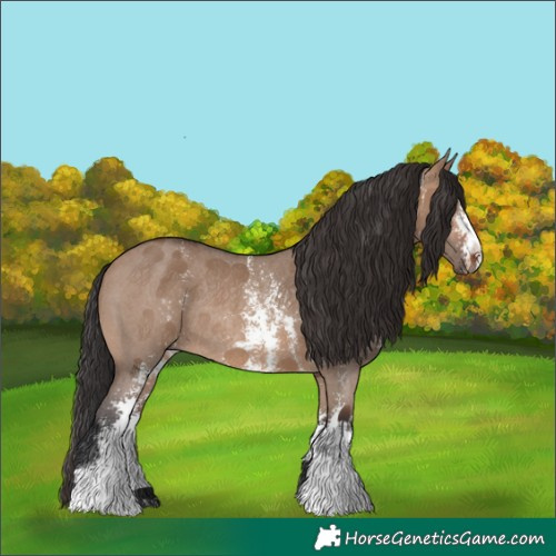 Horse Color:Brown Dun Sabino Rabicano 