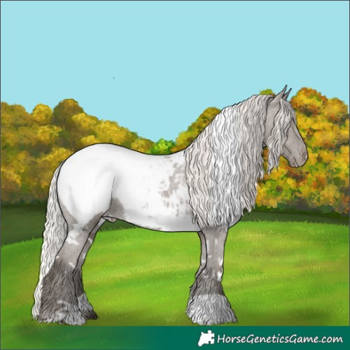 Horse Color:White Spotted Silver Grullo Snowcap Rabicano 