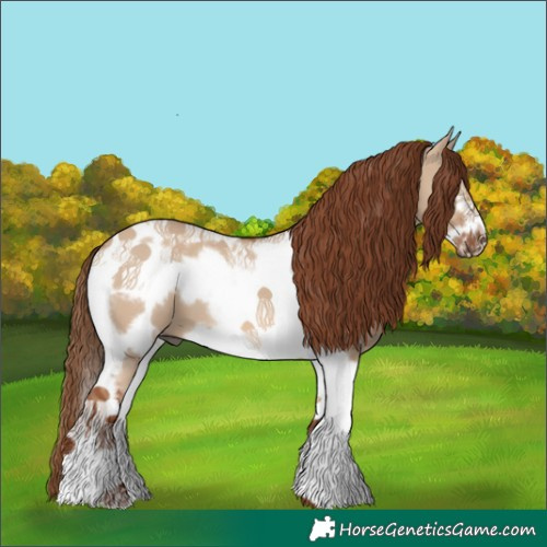 Horse Color:Red Dun Tobiano Frame 
