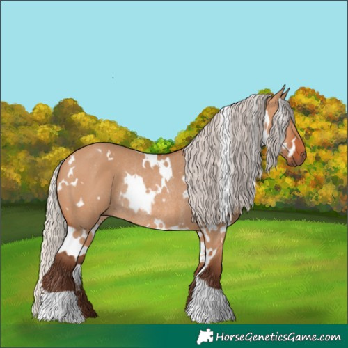 Horse Color:White Spotted Silver Bay Dun Rabicano 