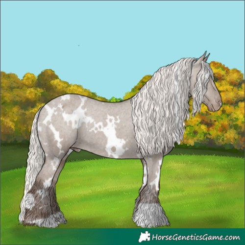 Horse Color:White Spotted Silver Grullo Varnish Rabicano 