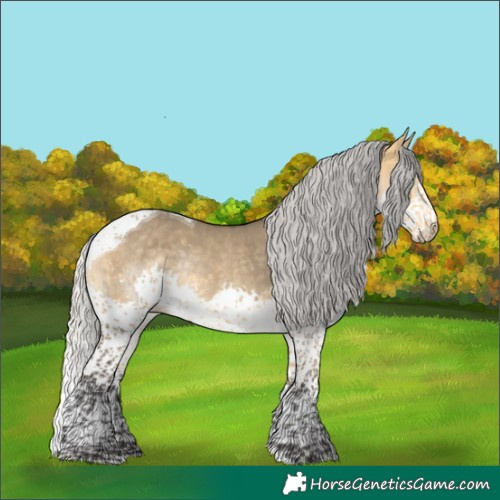 Horse Color:Silver Buckskin Dun Sabino Splash Tobiano Rabicano 