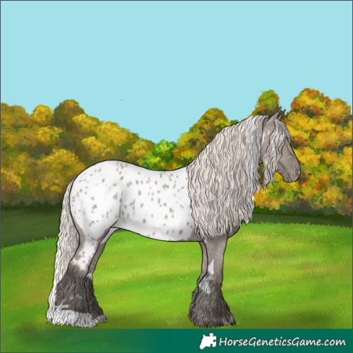 Horse Color:White Spotted Silver Grullo Near Leopard Rabicano 