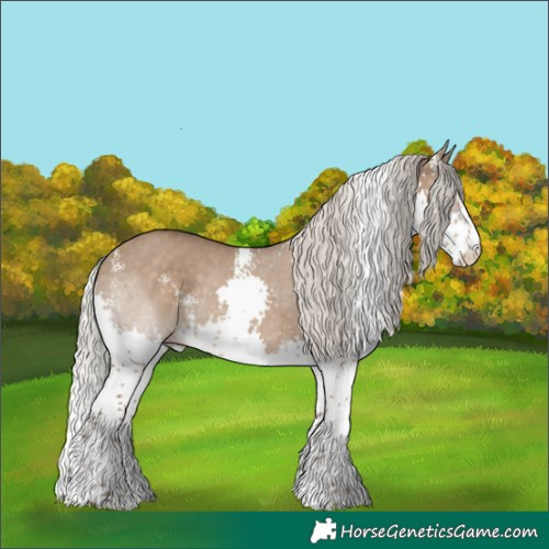 Horse Color:Silver Grullo Sabino Splash Rabicano 