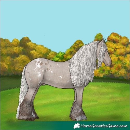 Horse Color:White Spotted Silver Grullo Varnish Rabicano 