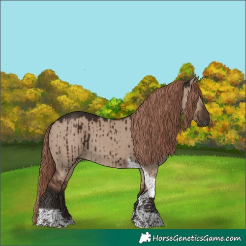 Horse Color:Liver Red Dun Tobiano Rabicano Brindle 