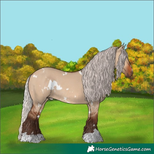 Horse Color:White Spotted Silver Brown Dun Rabicano 