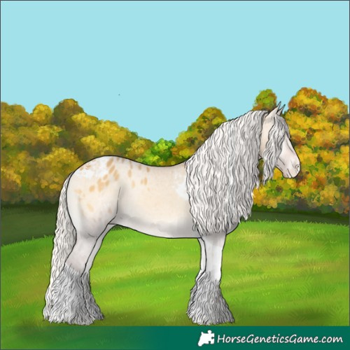 Horse Color:Silver Buckskin Onyx Tobiano Appaloosa Rabicano 