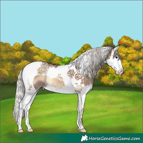 Horse Color:Silver Bay Onyx Splash Tobiano 