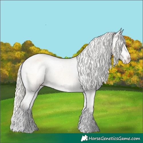 Horse Color:White Spotted Silver Buckskin Onyx Sabino Appaloosa Rabicano 