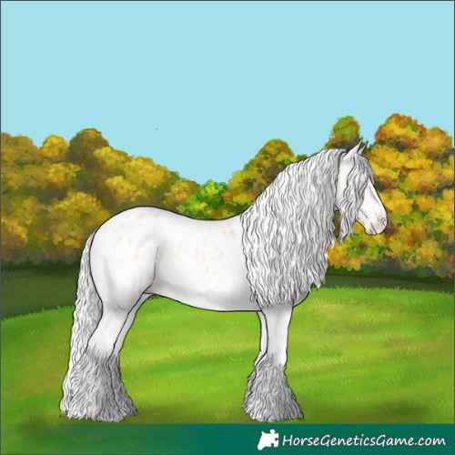 Horse Color:White Spotted Silver Perlino Onyx Tobiano Appaloosa 
