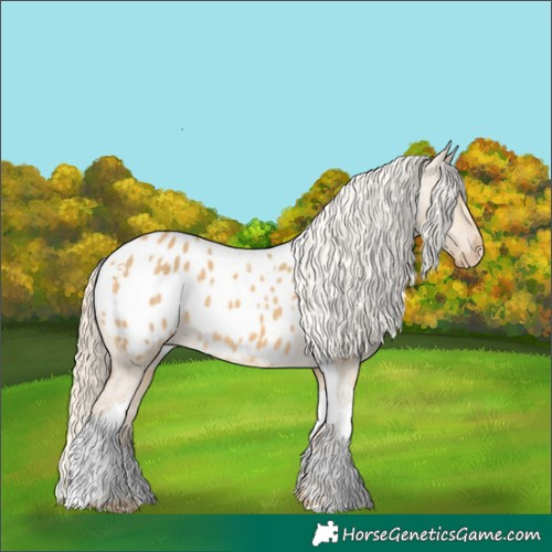 Horse Color:Palomino Dun Tobiano Blanket 