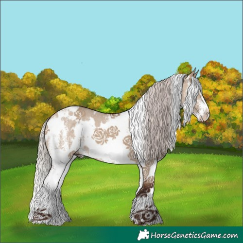 Horse Color:White Spotted Silver Brown Dun 