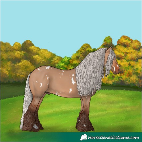 Horse Color:White Spotted Silver Bay Dun 