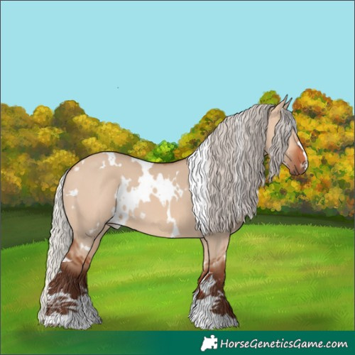 Horse Color:White Spotted Silver Bay Dun 