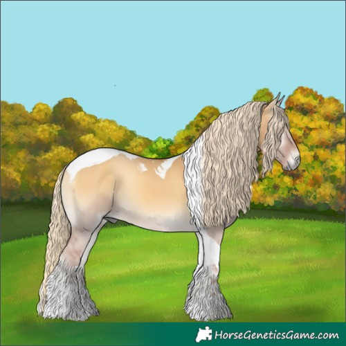 Horse Color:Palomino Onyx Tobiano 