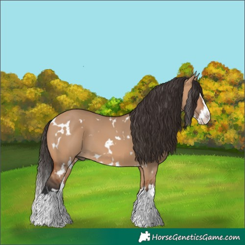 Horse Color:White Spotted Bay Dun Splash 
