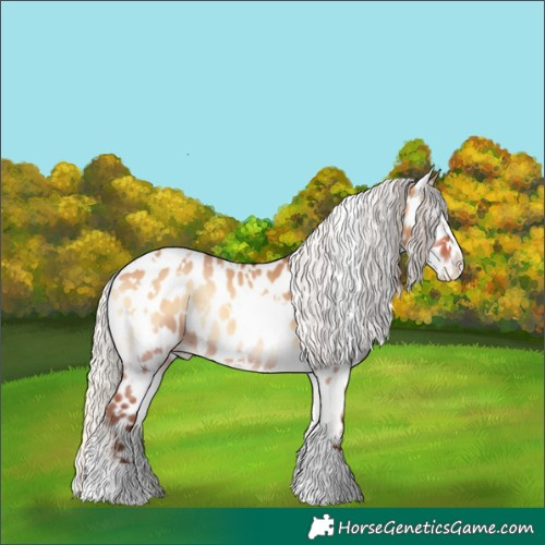 Horse Color:White Spotted Silver Bay Onyx Near Leopard 