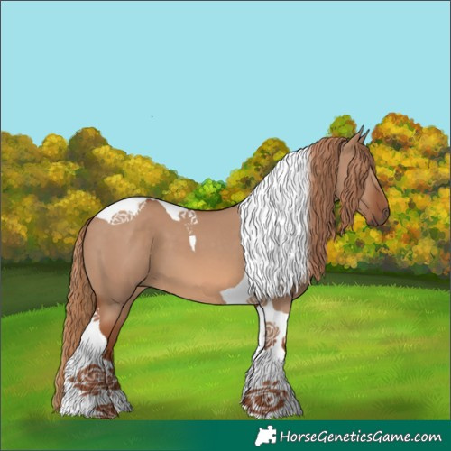 Horse Color:Red Dun Tobiano 