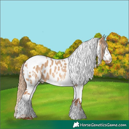 Horse Color:White Spotted Red Dun Tobiano Near Leopard 