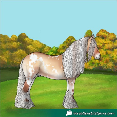 Horse Color:White Spotted Silver Bay Onyx 